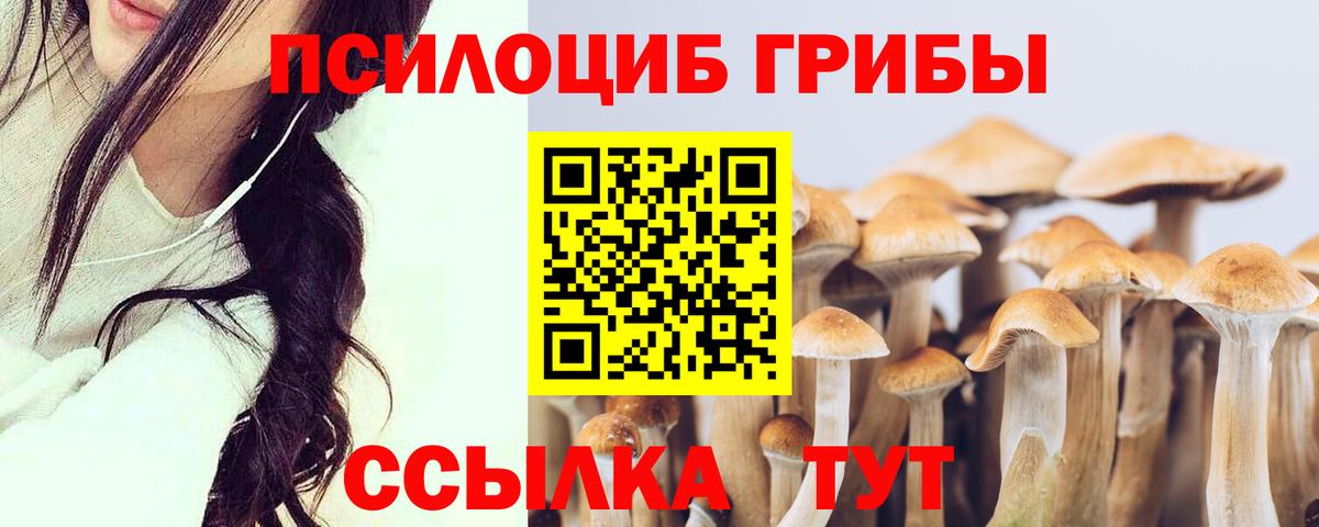 Галлюциногенные грибы Psilocybine cubensis  Вход с VPN  Юрга 