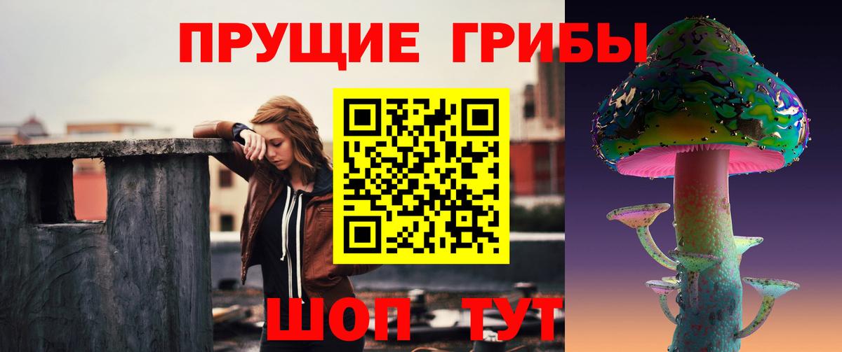 Псилоцибиновые грибы GOLDEN TEACHER Юрга